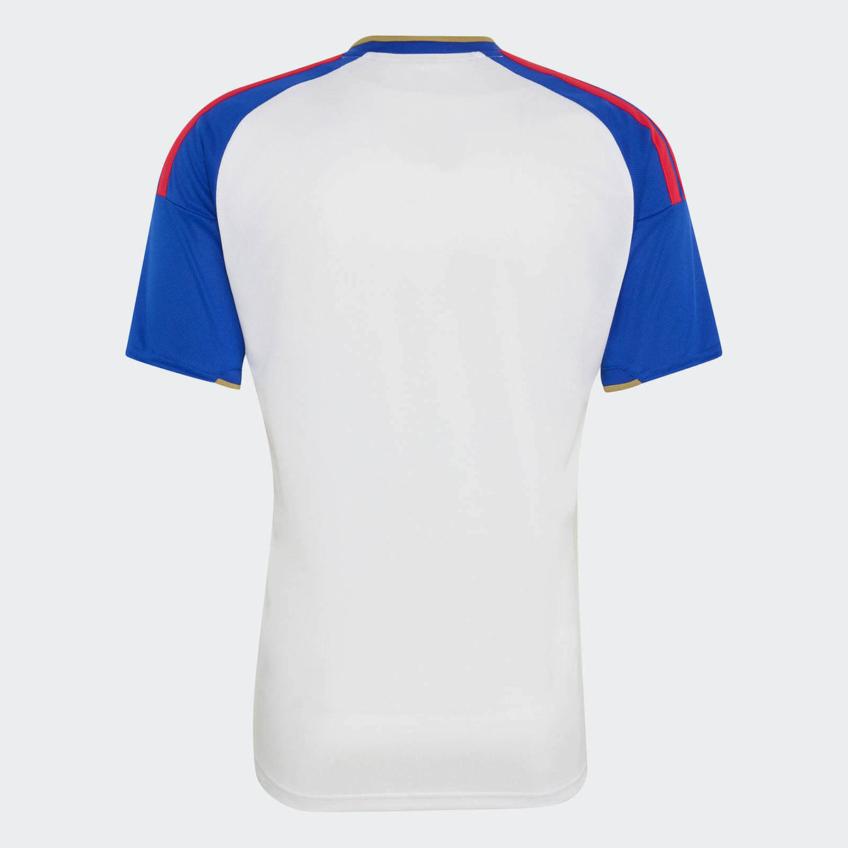 Olympique de Lyon I 2026/27