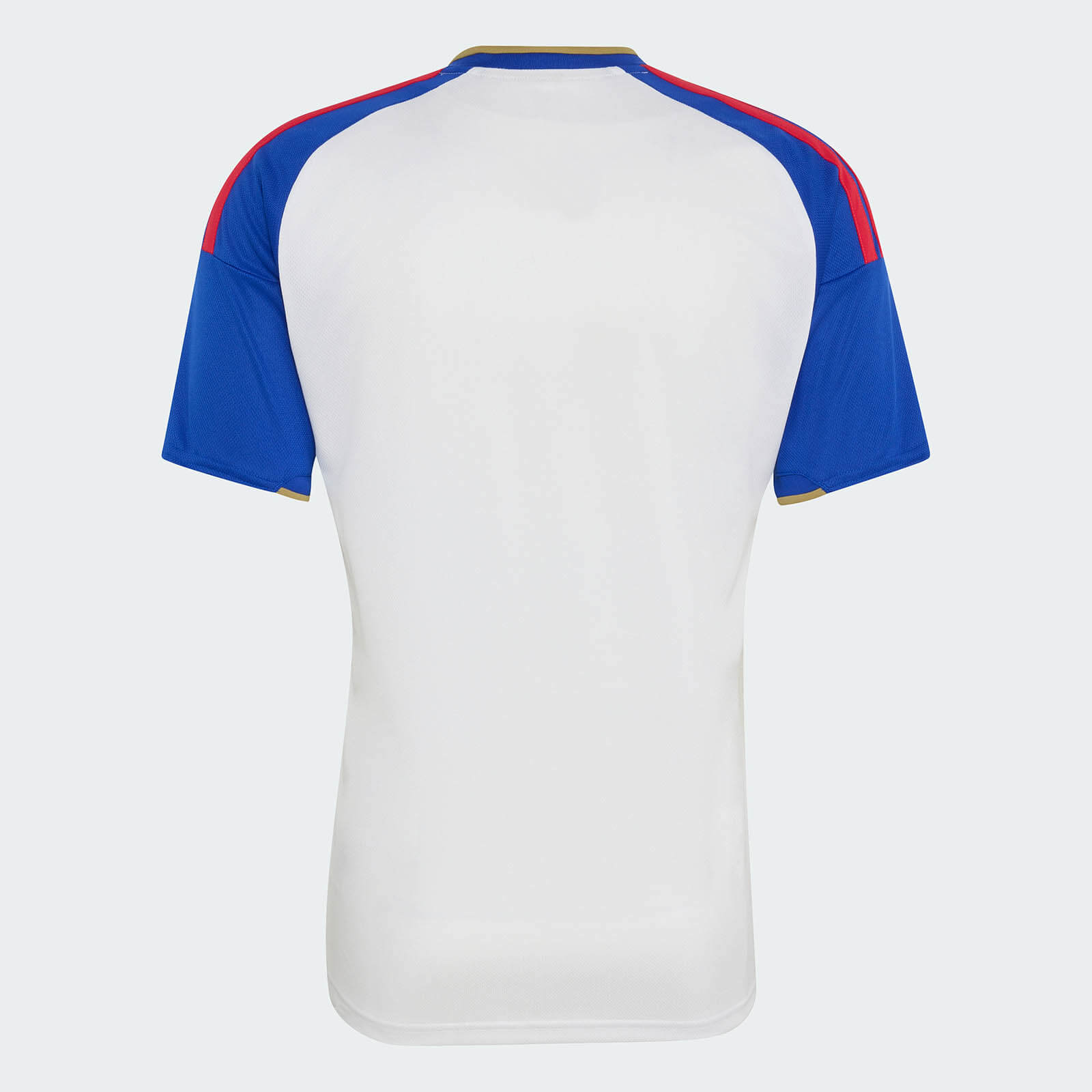 Olympique de Lyon I 2026/27